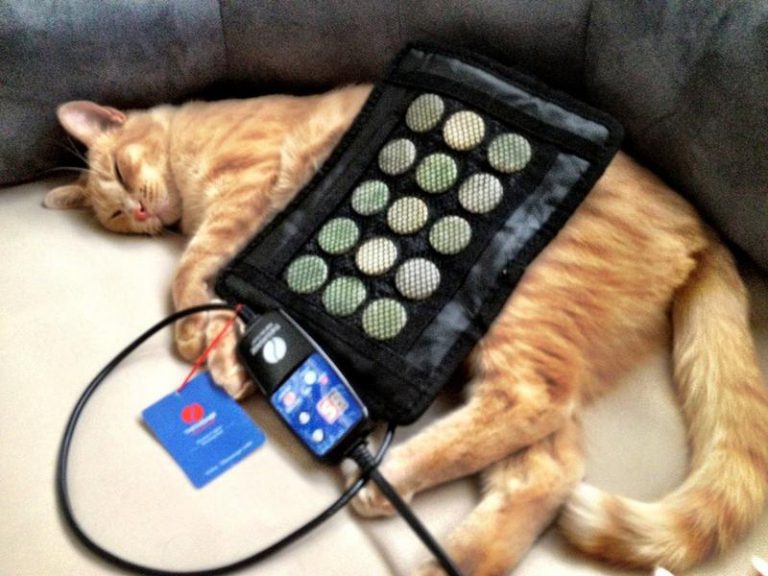 Therasage Pet Infrared Heating Pad Zen Earth