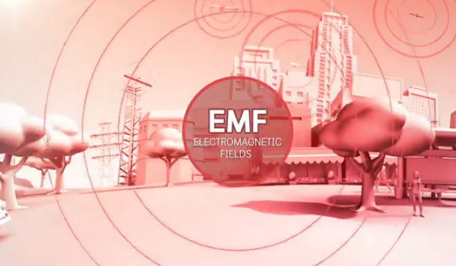 What is EMF?