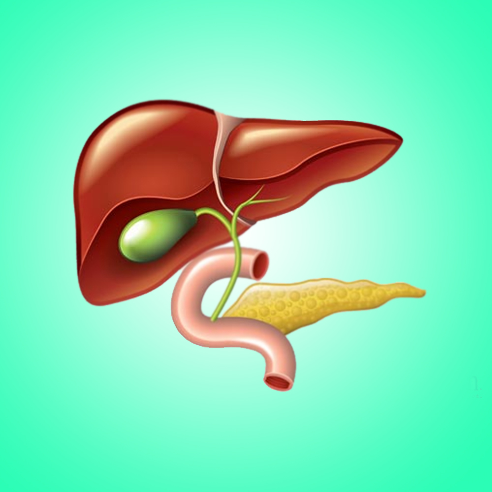 Liver and Gallbladder Detoxification