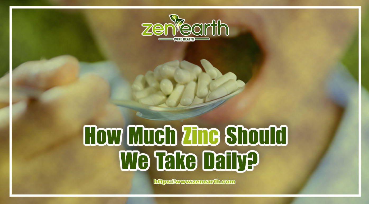 How Much Zinc Should We Take Daily